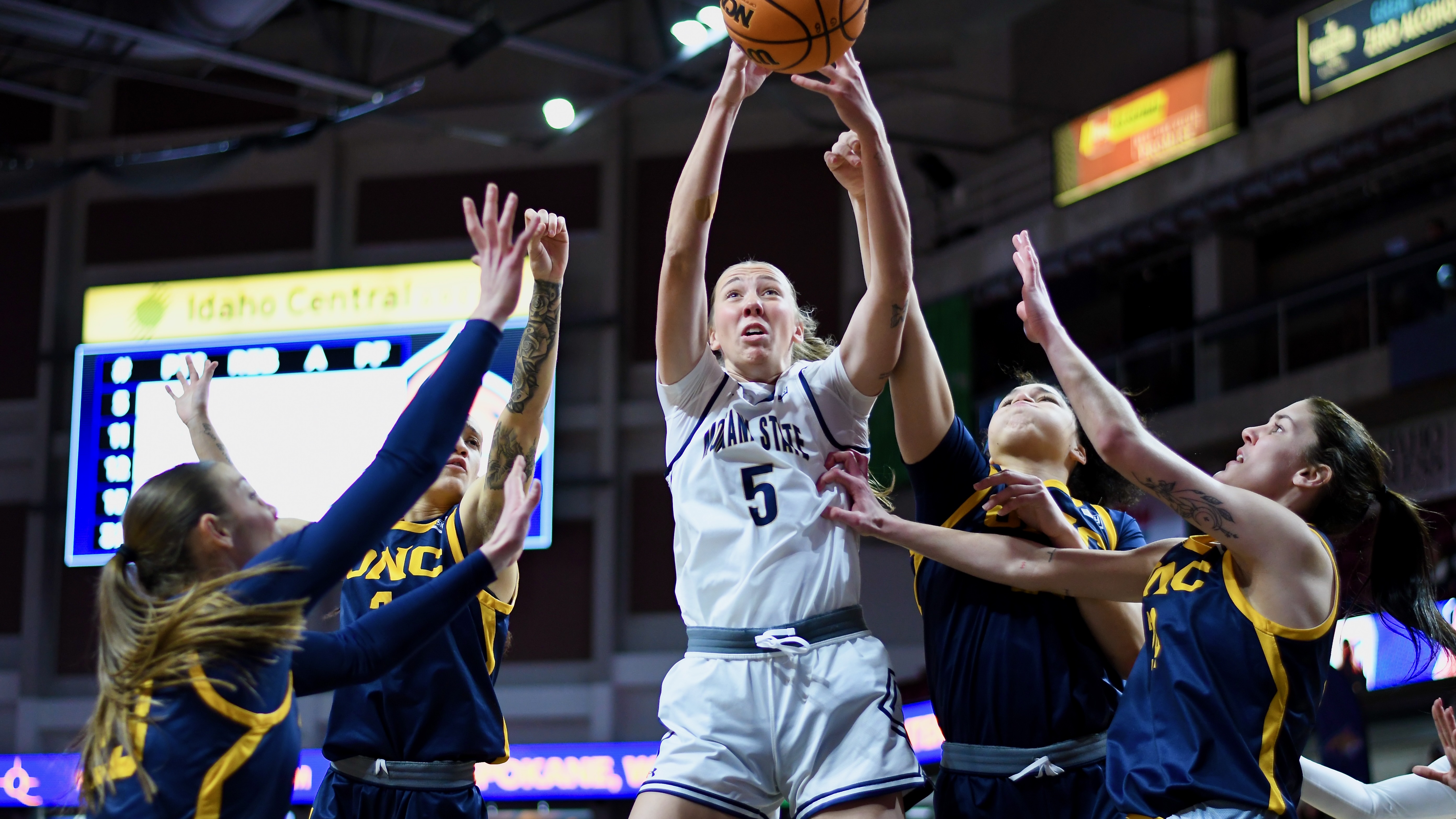 Montana State versus Northern Colorado women's basketball