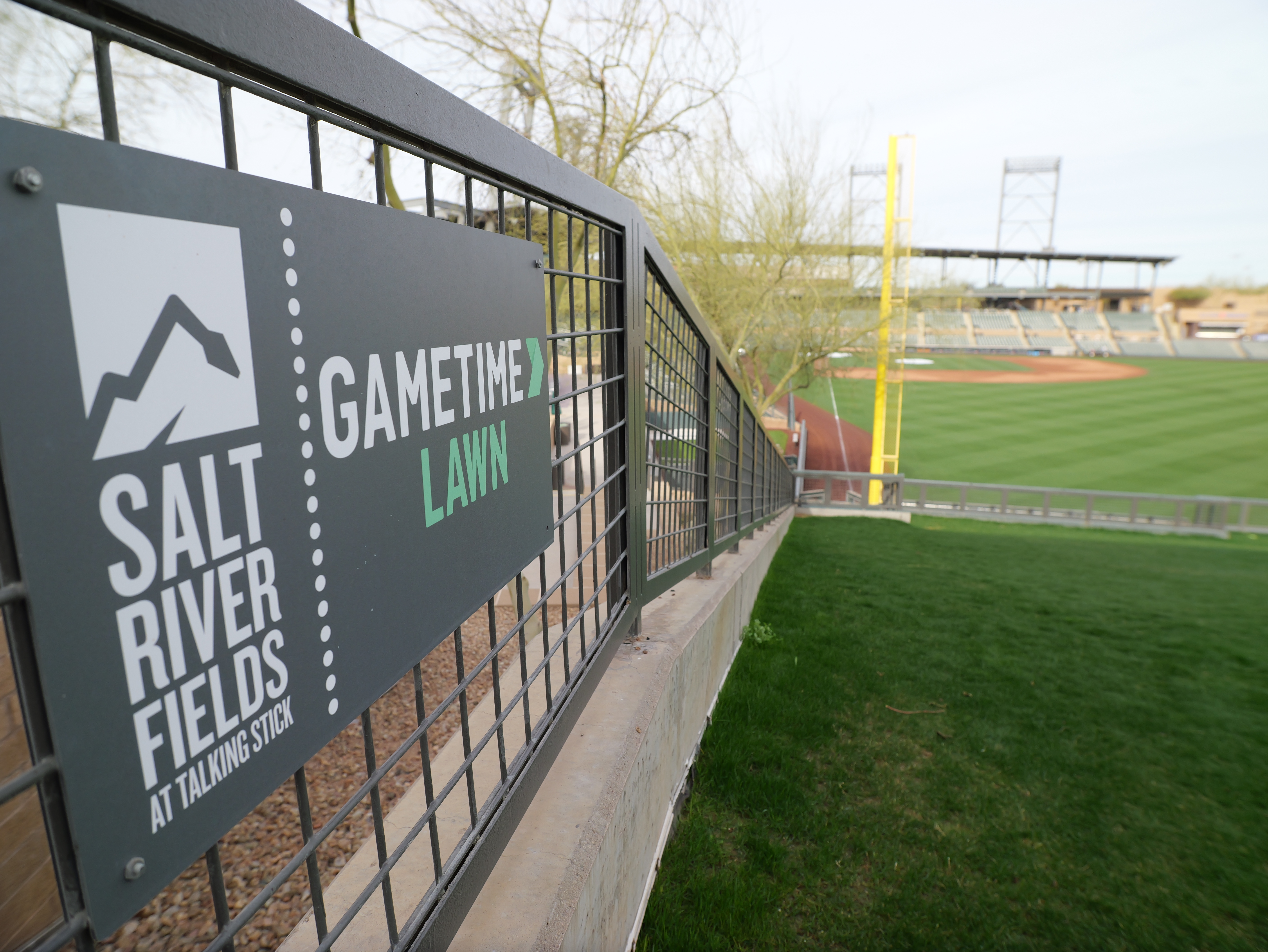 Salt River Fields | spring training facility | game time lawn 