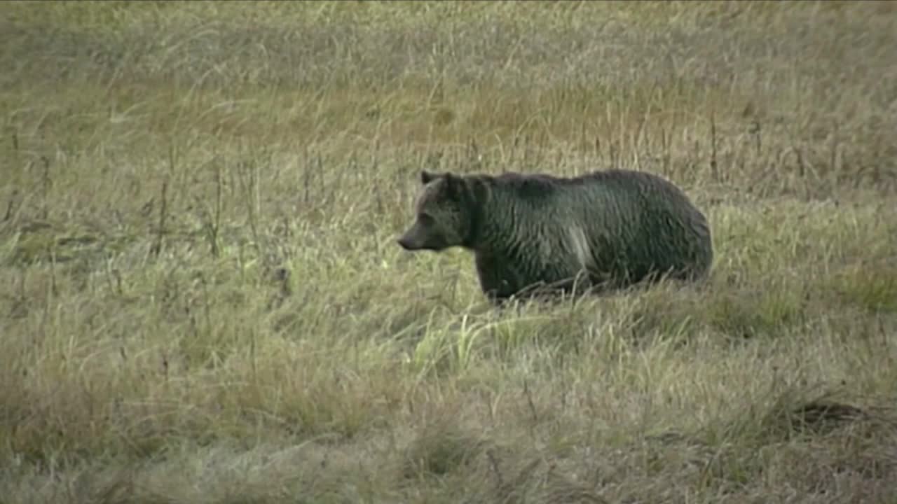 Poster image (5).jpg