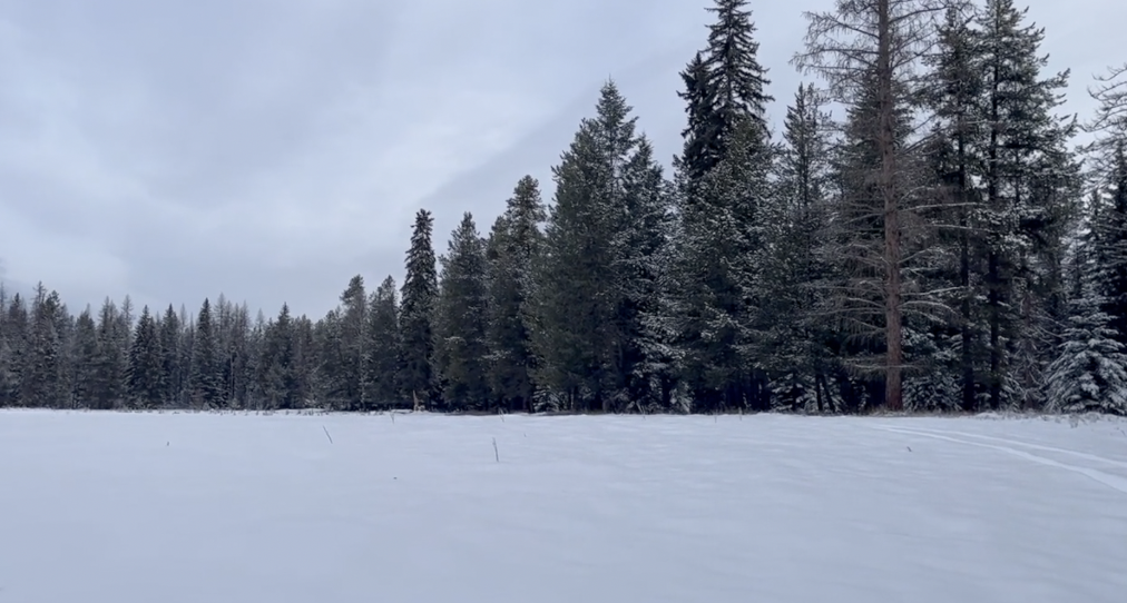 Conservation Easement 