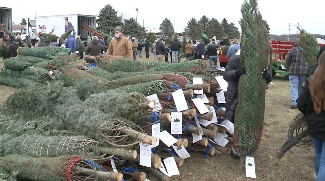 Wahmhoff Farms sends Christmas trees to military troops around the United States