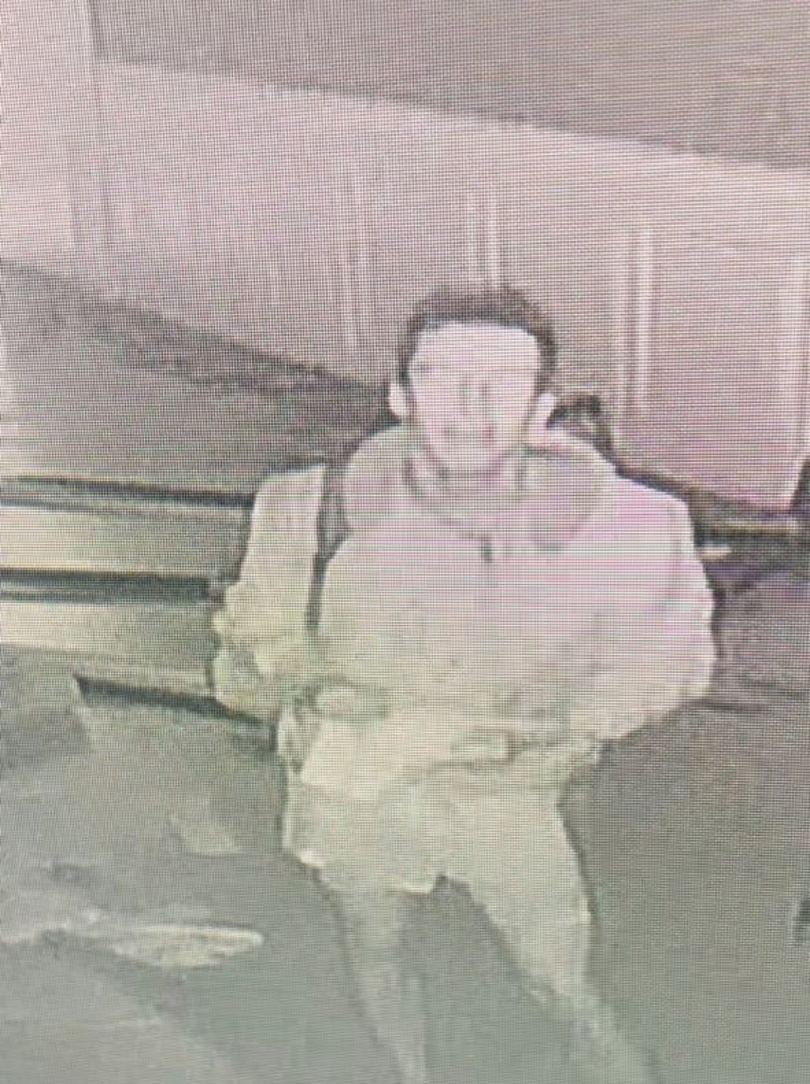 Beverly Hills Synagogue Vandalized