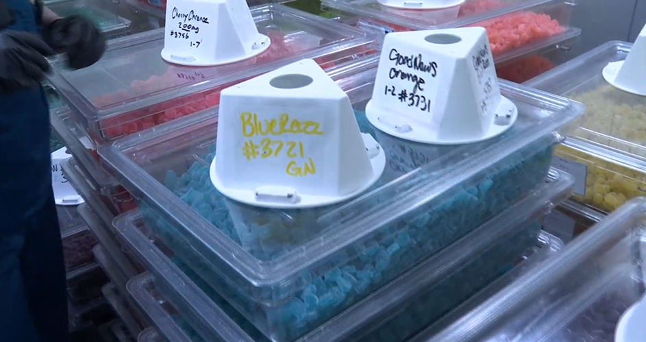 medical gummies.png