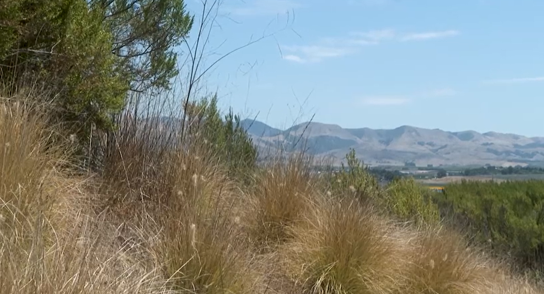 San Luis Obispo Hills