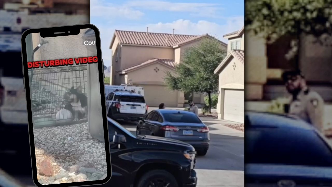 Dog owner indicted