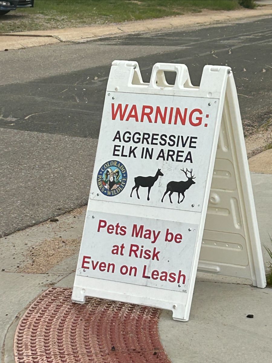 CPW aggressive elk sign