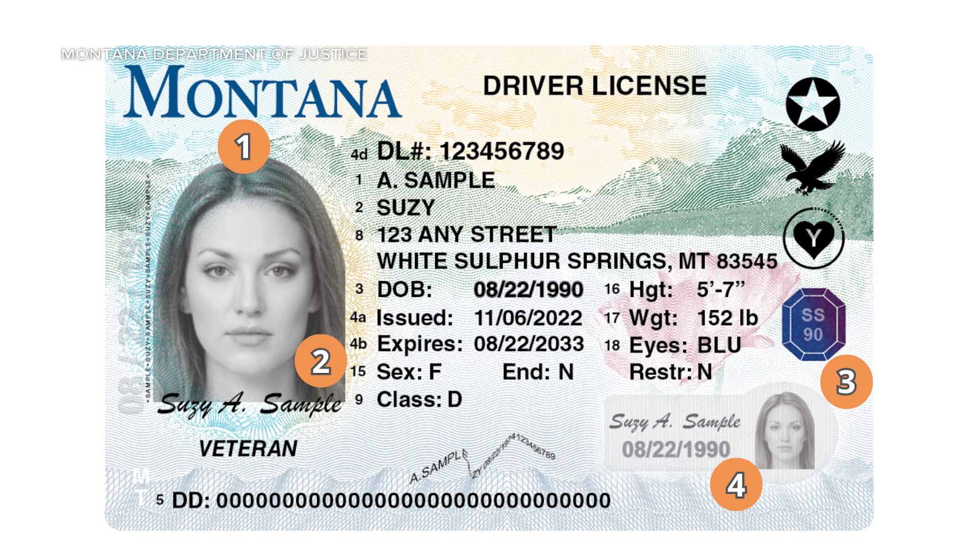 New Driver's License