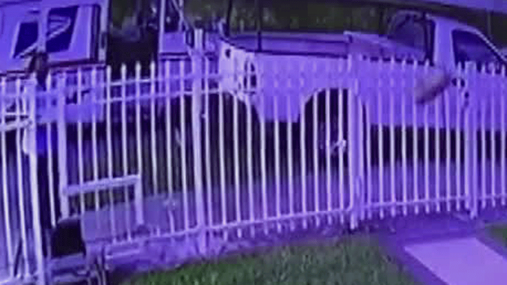 wptv-package-thrown-.gif