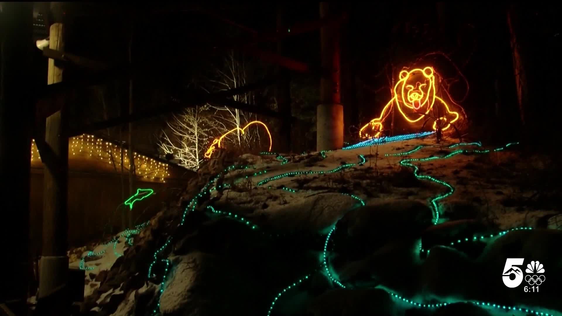 Zoo Lights - Cheyenne Mountain Zoo