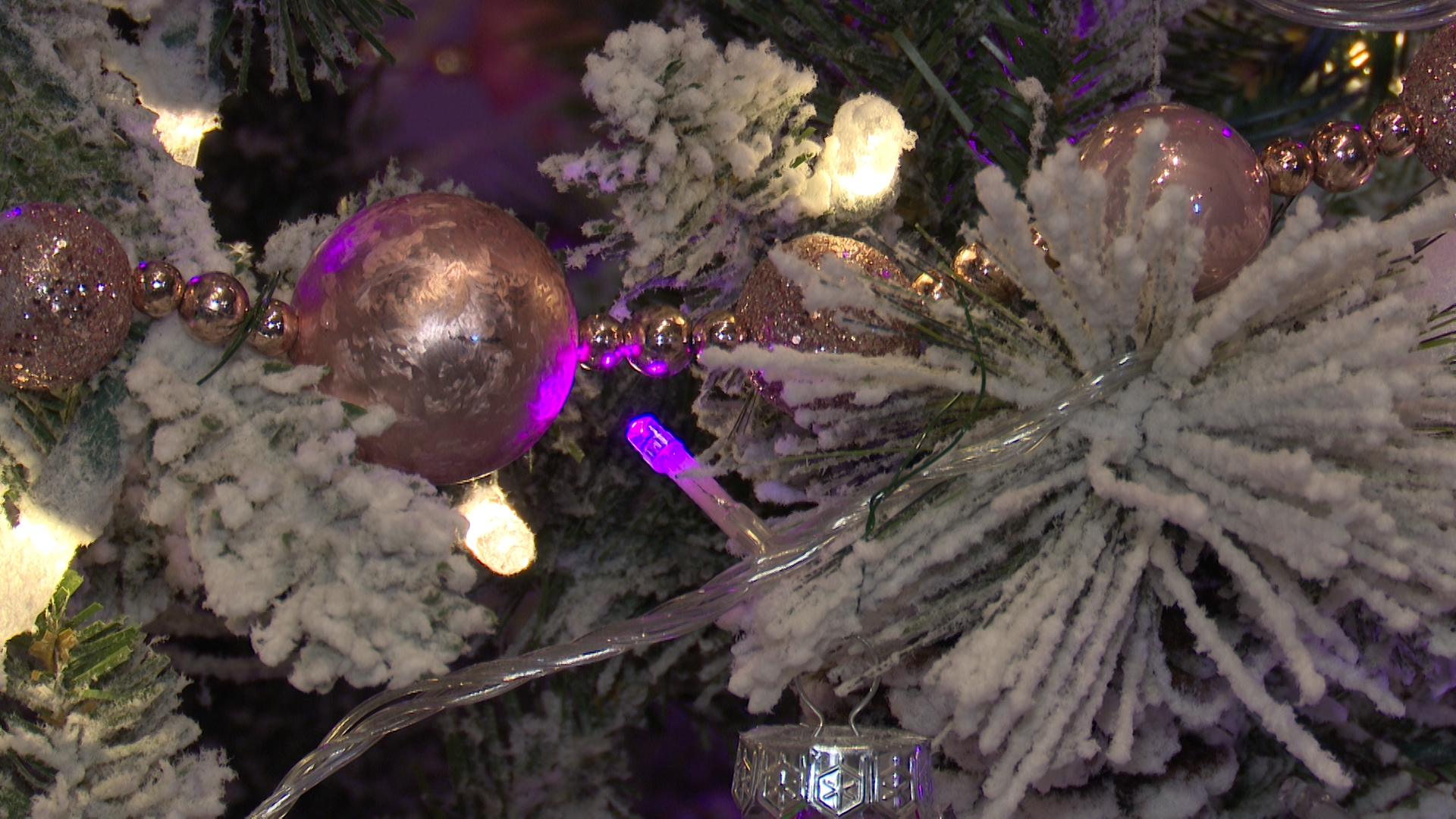 Project Christmas Miracle: Billings nonprofit gifts trees to 110 families