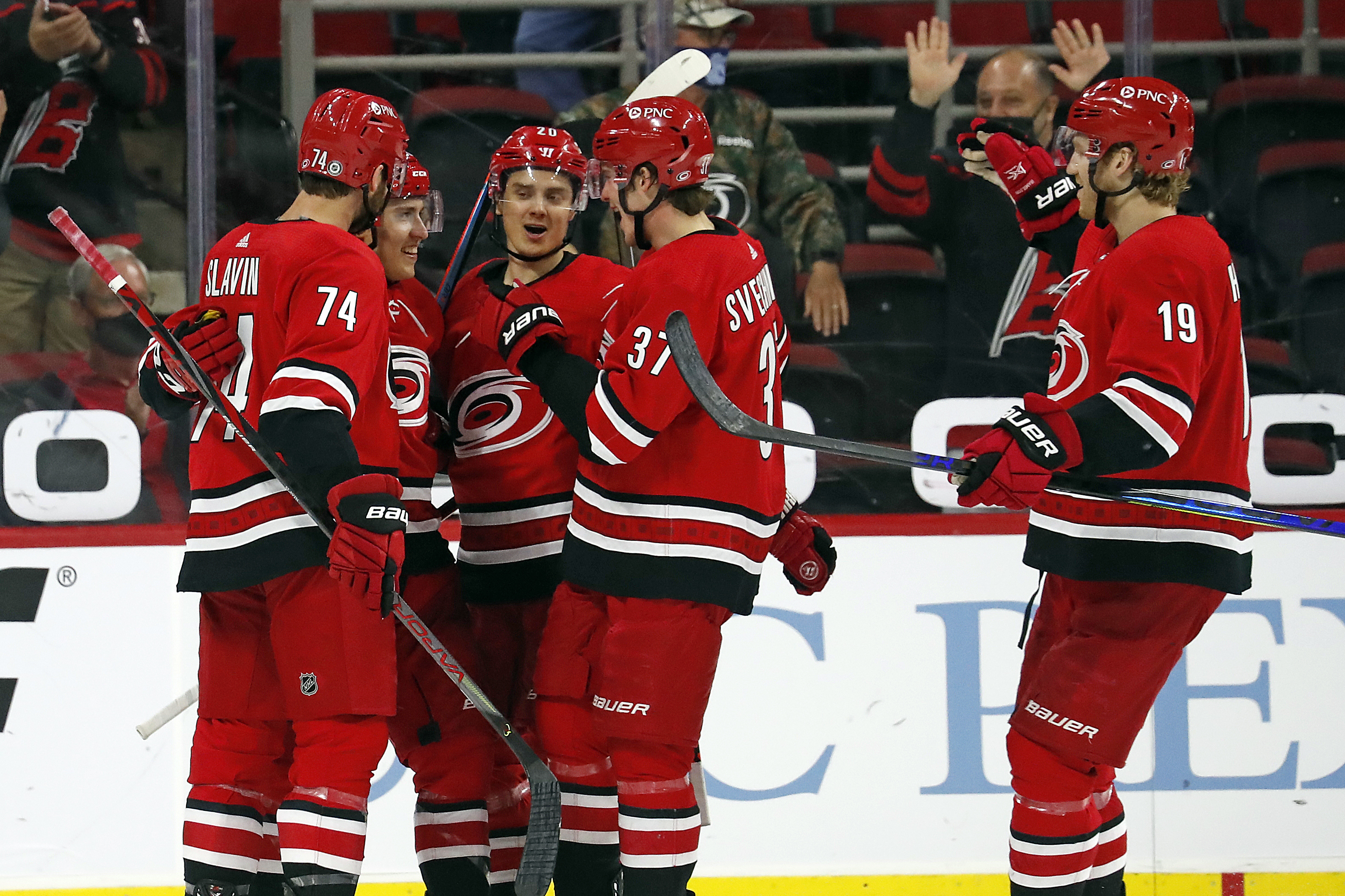 Red Wings Hurricanes Hockey
