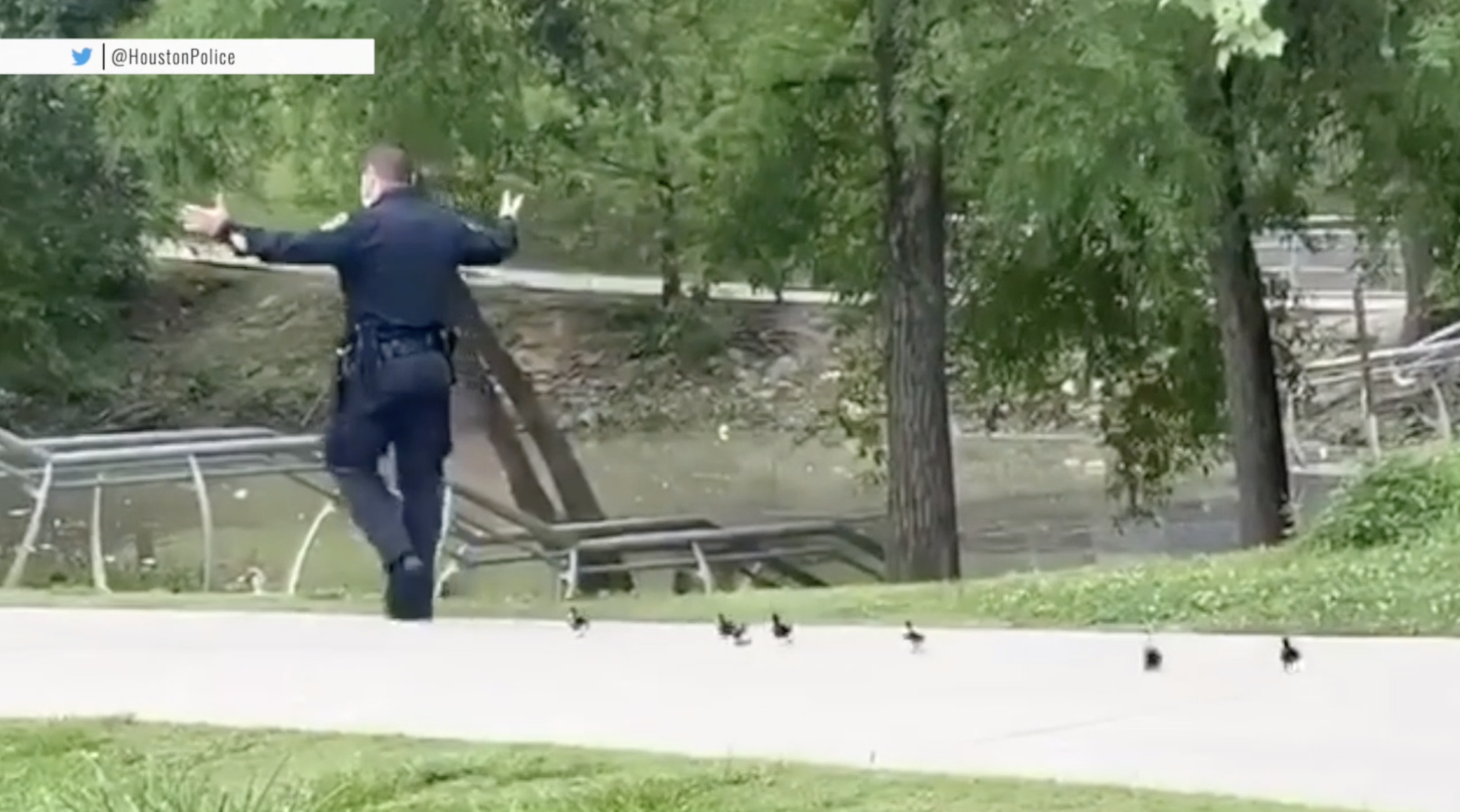 Houston officer provides 'police escort' for ducklings trying to find their mom