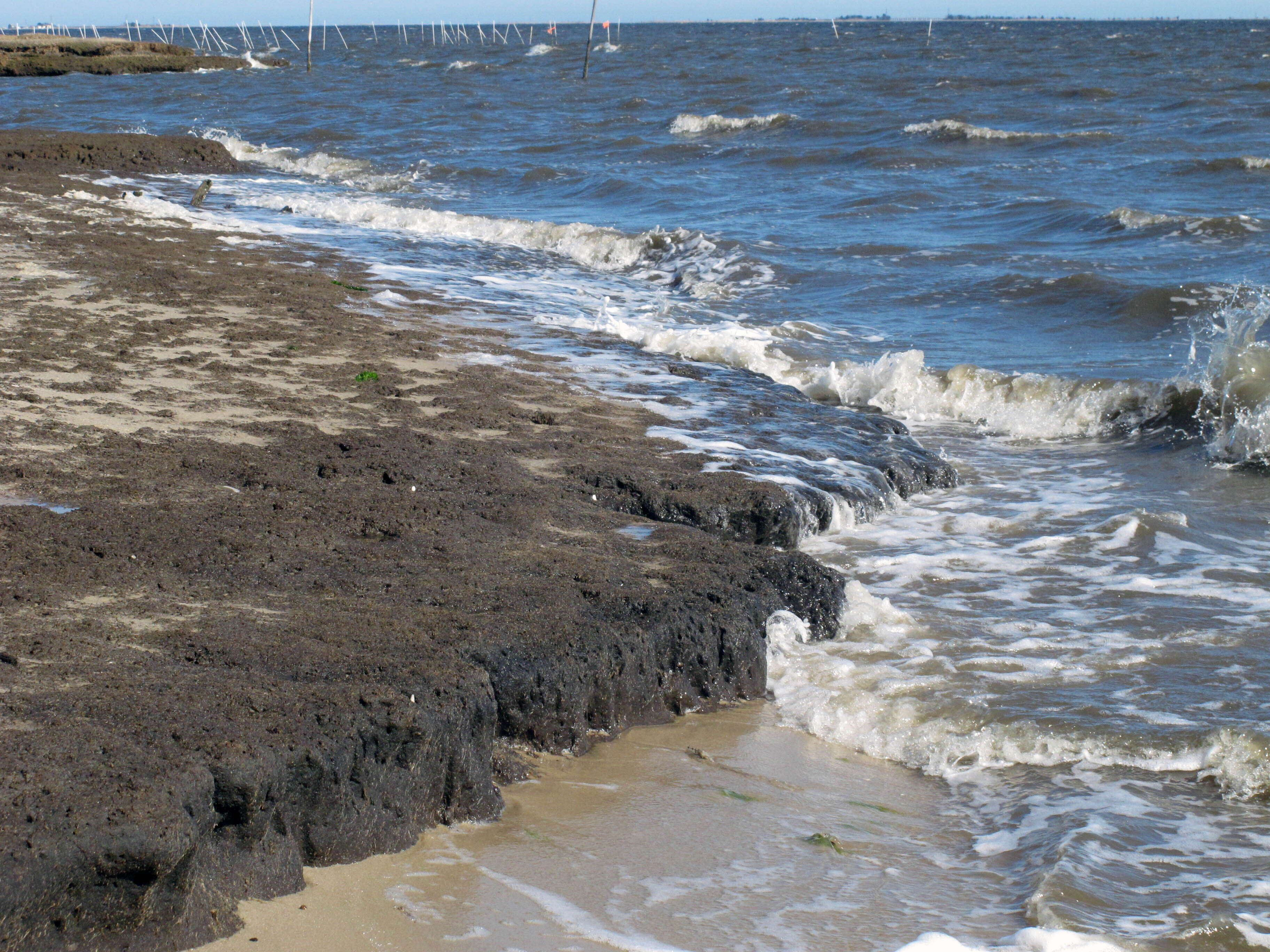 New Jersey Climate Projects