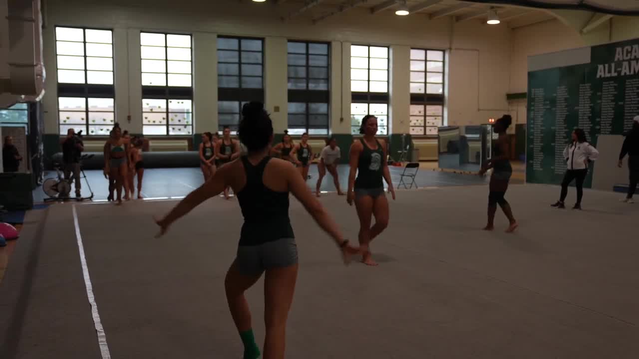 Michigan State gymnastics