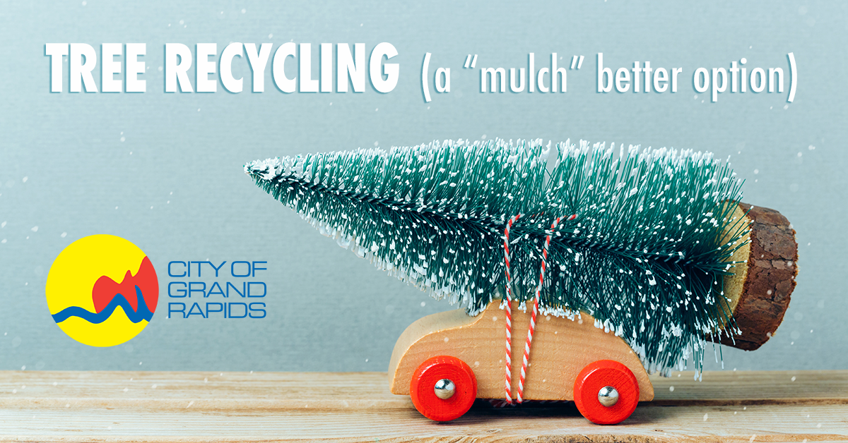 Grand Rapids tree recycling and disposal