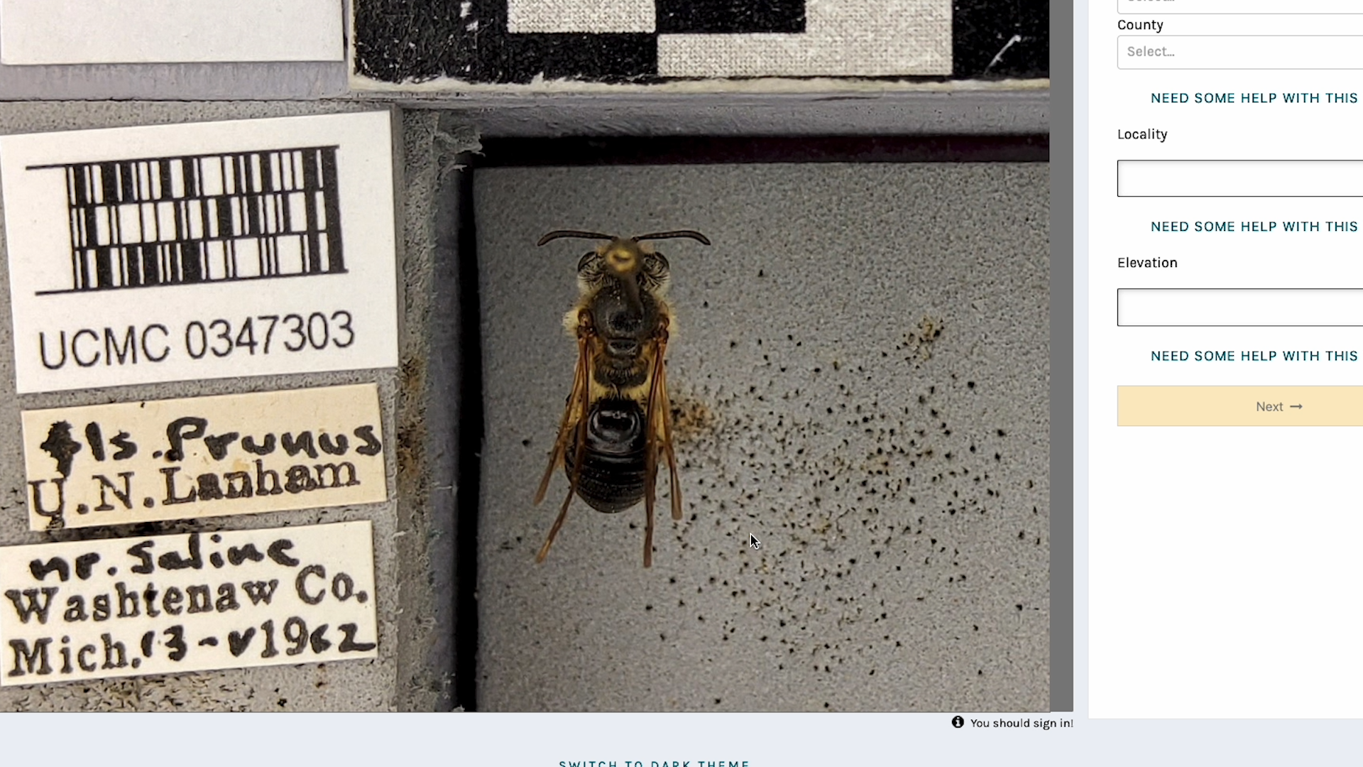 Colorado bee records