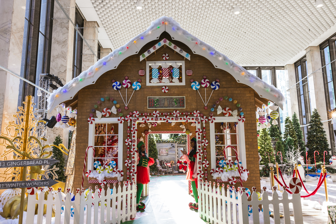 1001WinterWonderland-20231109-026.jpg