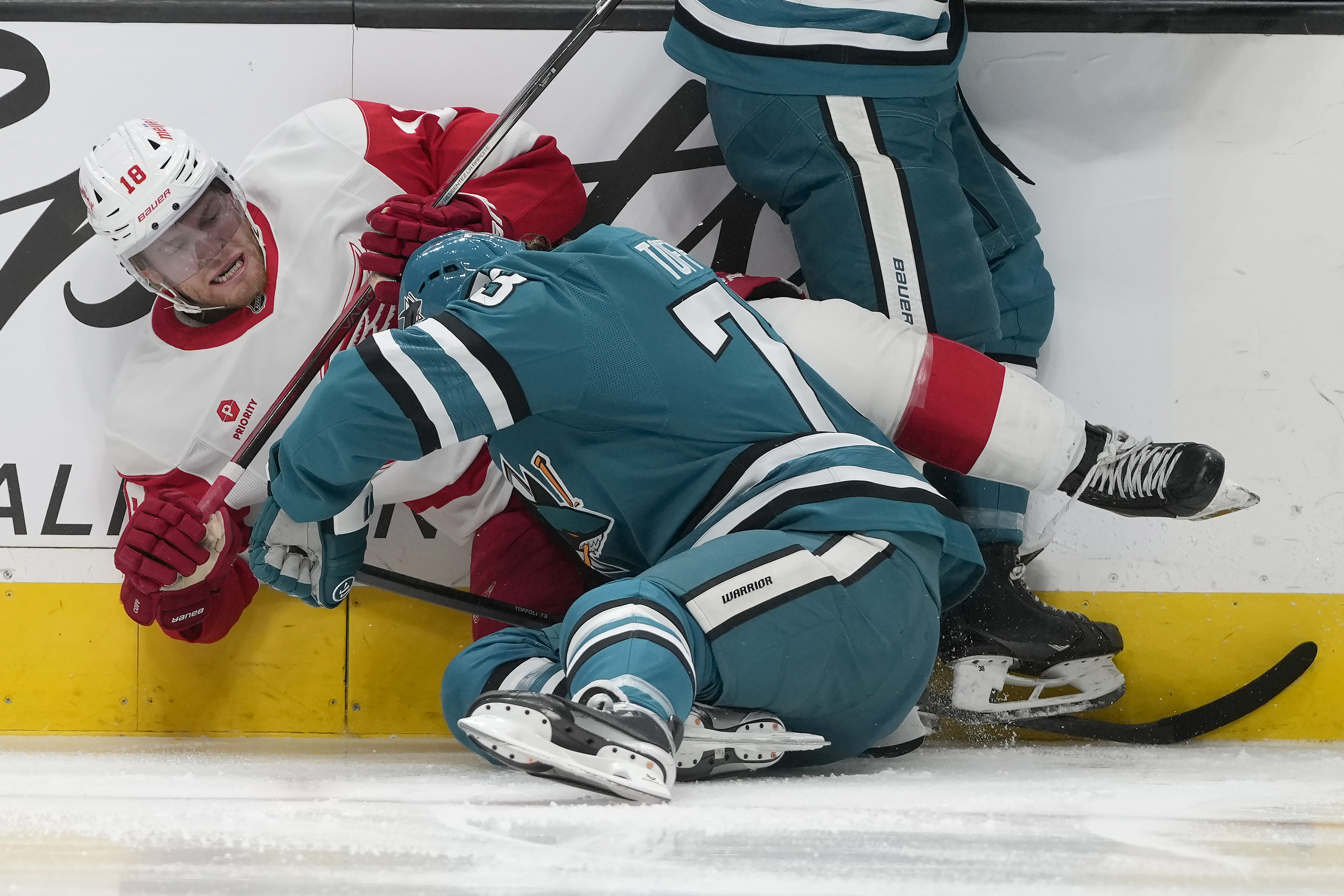 Red Wings Sharks Hockey