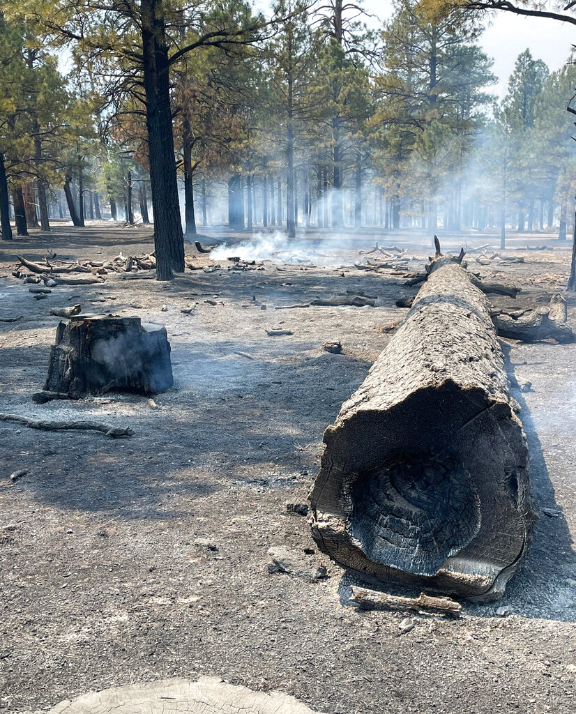 Western Wildfires