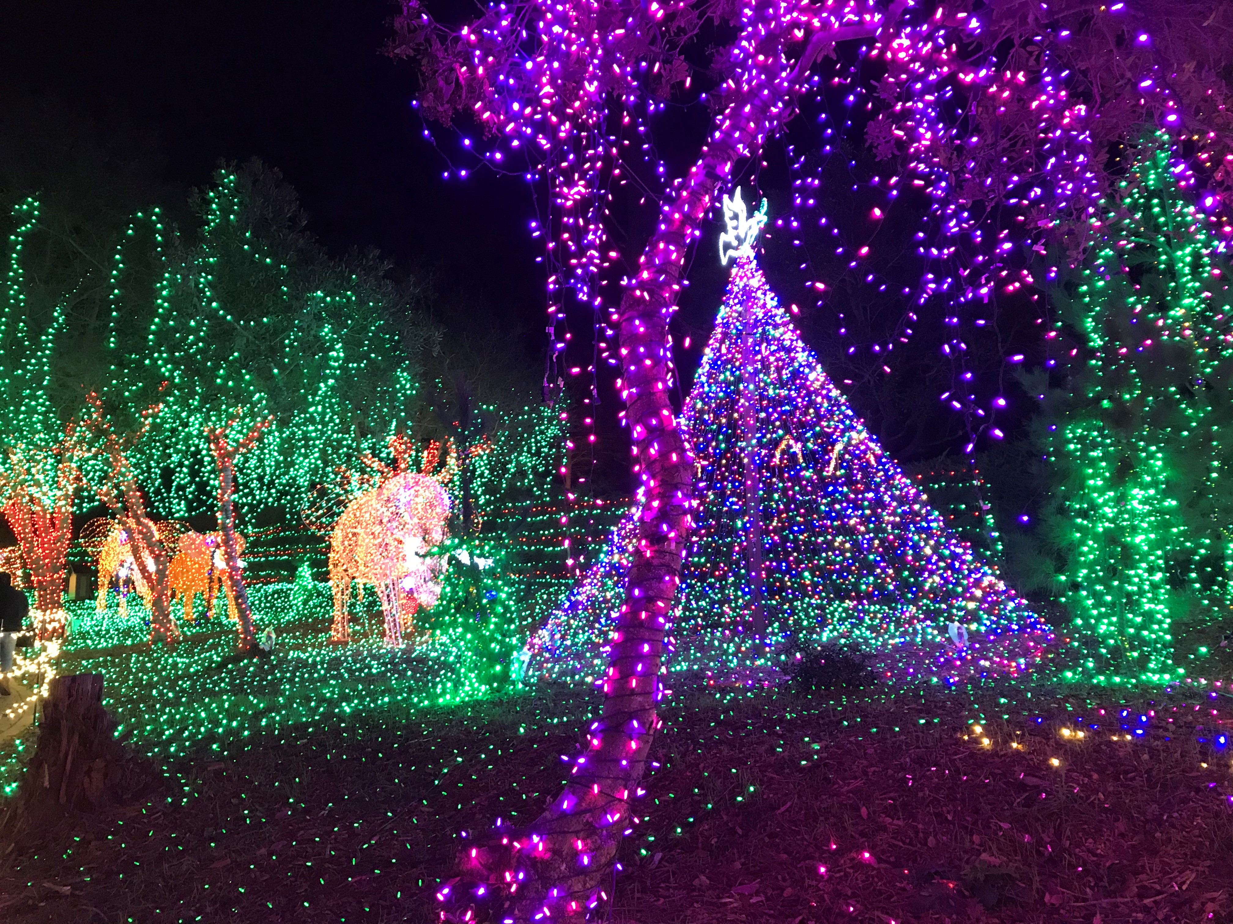 Holiday On The Green Christmas Fair 2022 Cambria Christmas Market Gets Green Light To Reopen