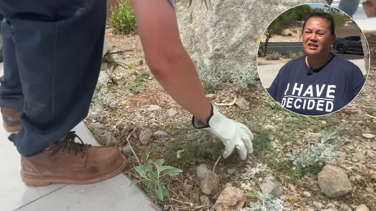 Park improvements underway in southwest Las Vegas after landscaping concerns raised