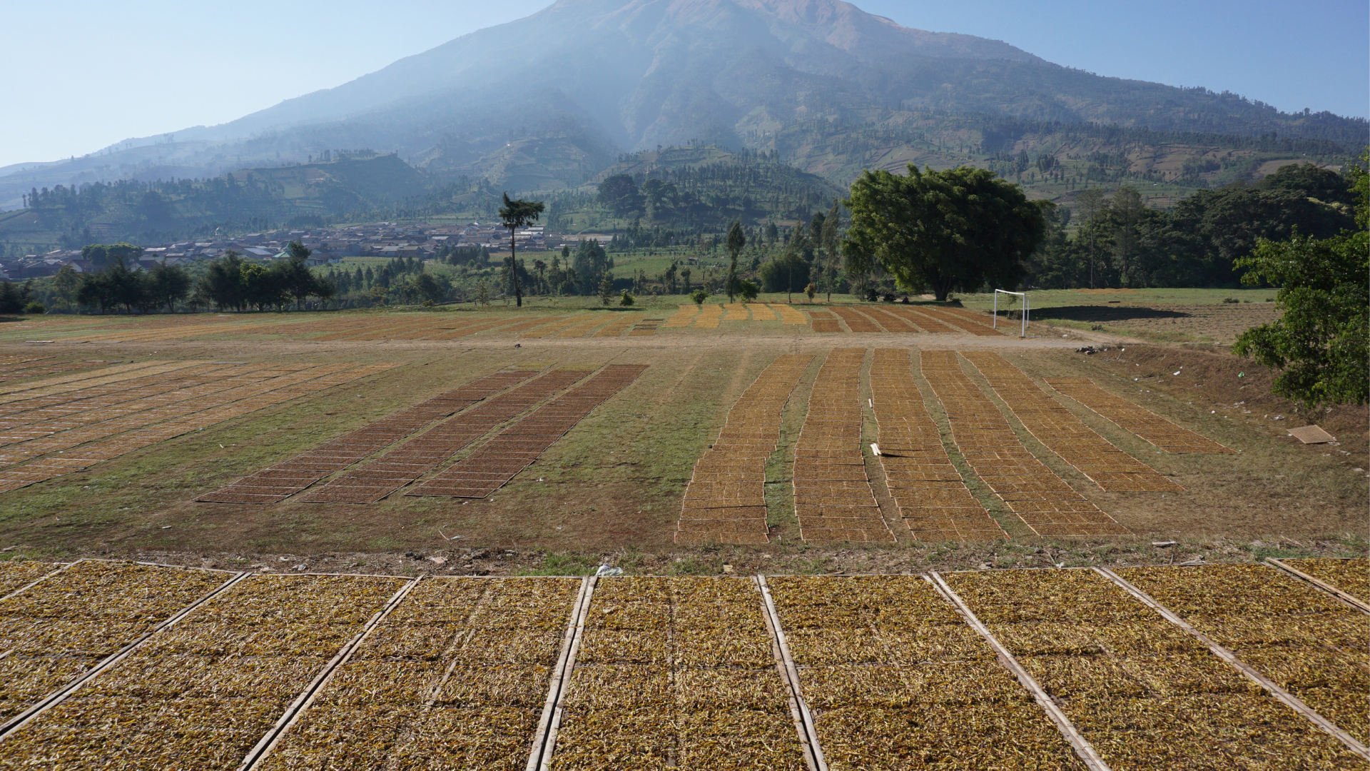 Featured Image Custom Edit (7).png