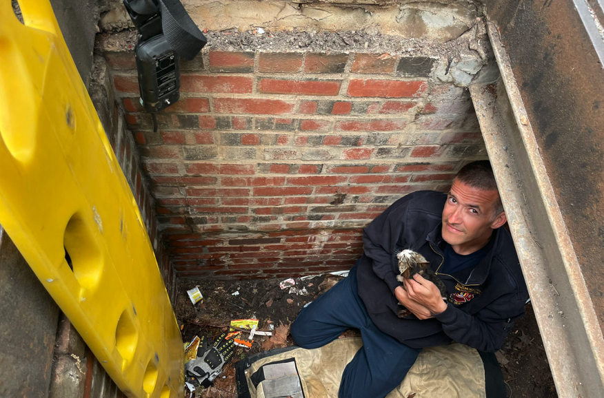 Baltimore firefighter plans to adopt kitten they rescued from storm drain