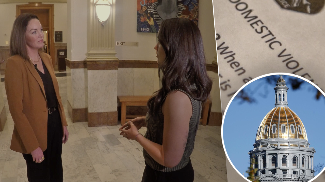 domestic violence bill.png