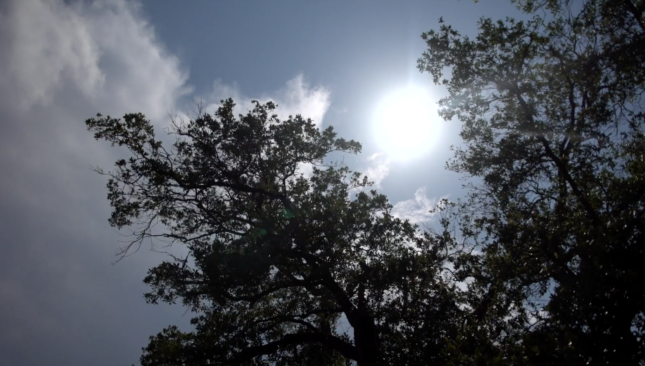 Heat is the number one cause of weather-related deaths every year, killing more people than hurricanes or floods.