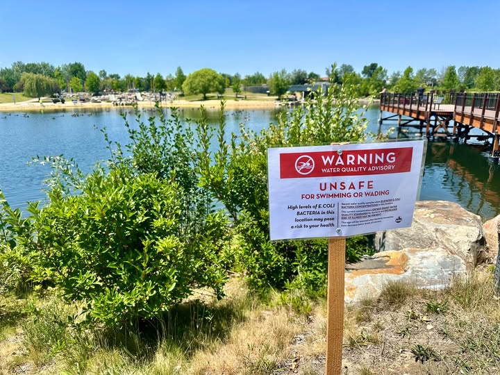 ecoli quinns pond.jpg