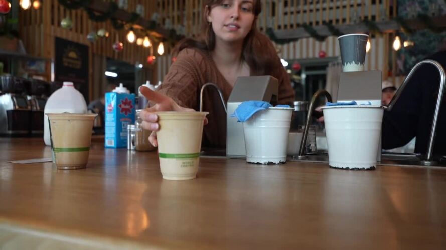 treeline barista.jpeg