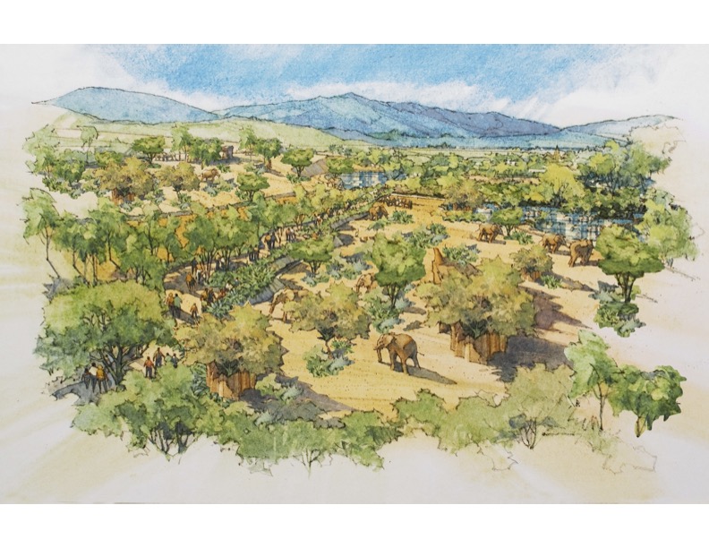 Rendering of new Elephant Valley coming to SD Zoo Safari Park in 2025