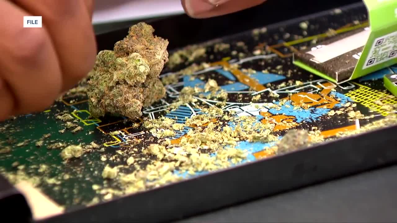 Virginia marijuana conviction relief law signed by governor
