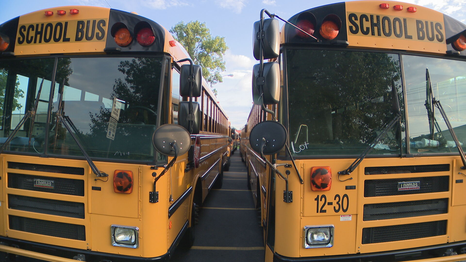 School buses
