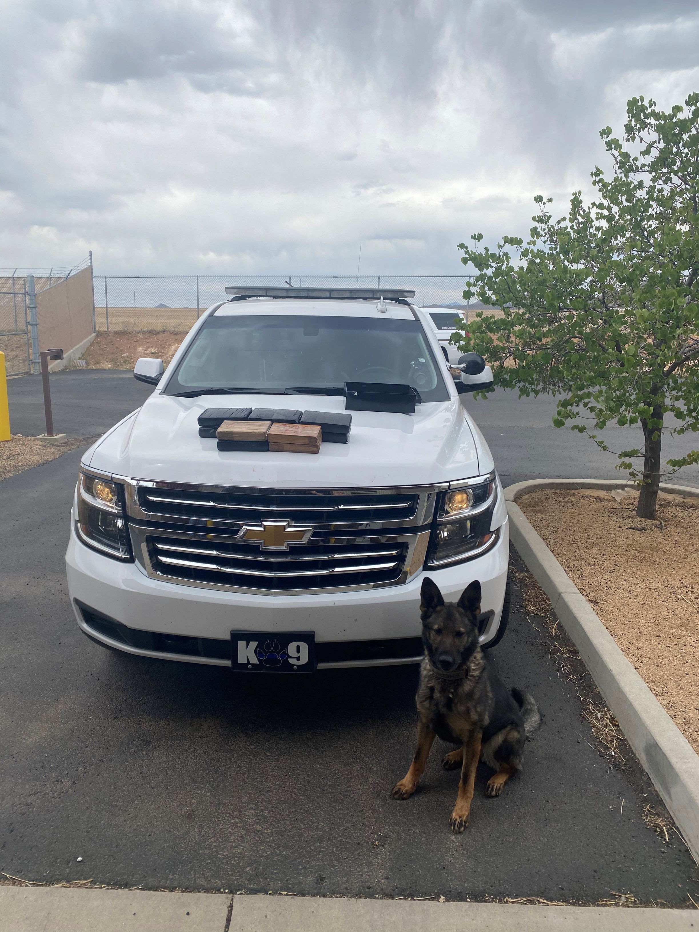 MicrosoftTeams-image (34).png