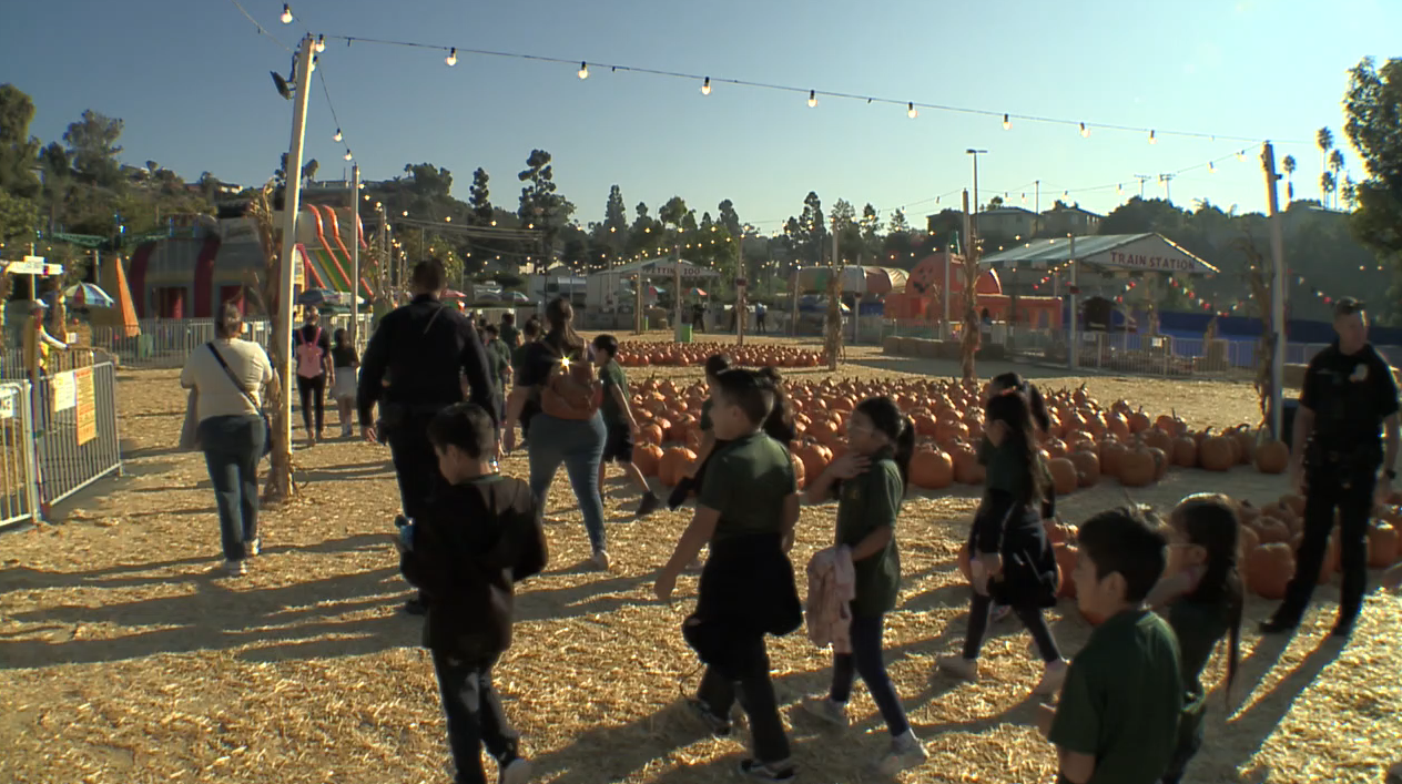 pumpkins with police