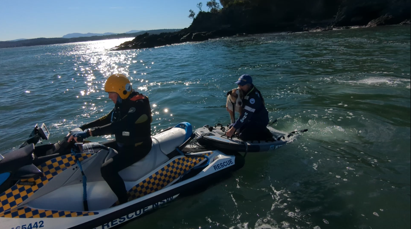 Marine Rescue Batemans Bay volunteers take the dog to safety 1.png