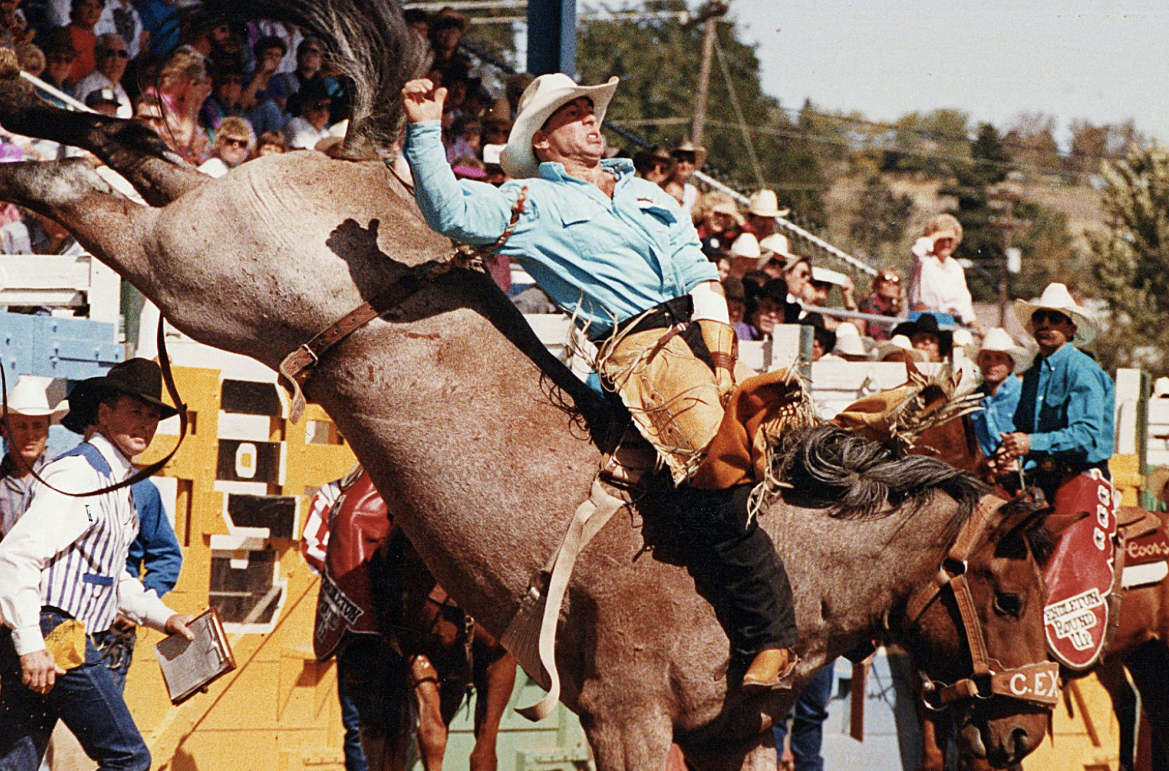 Deb Greenough Ride.png