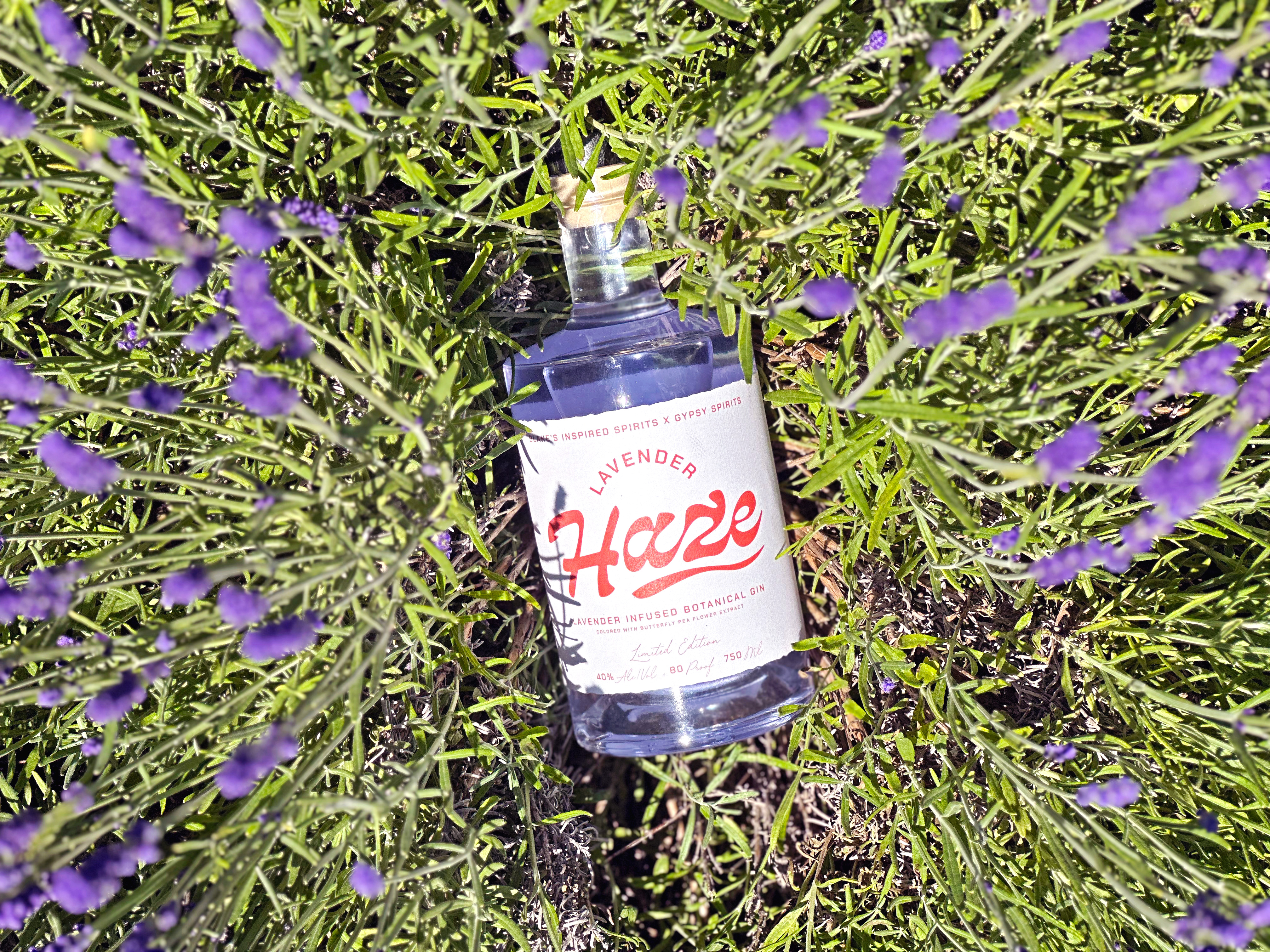 BF_2024-Lavender-Haze-01.jpg