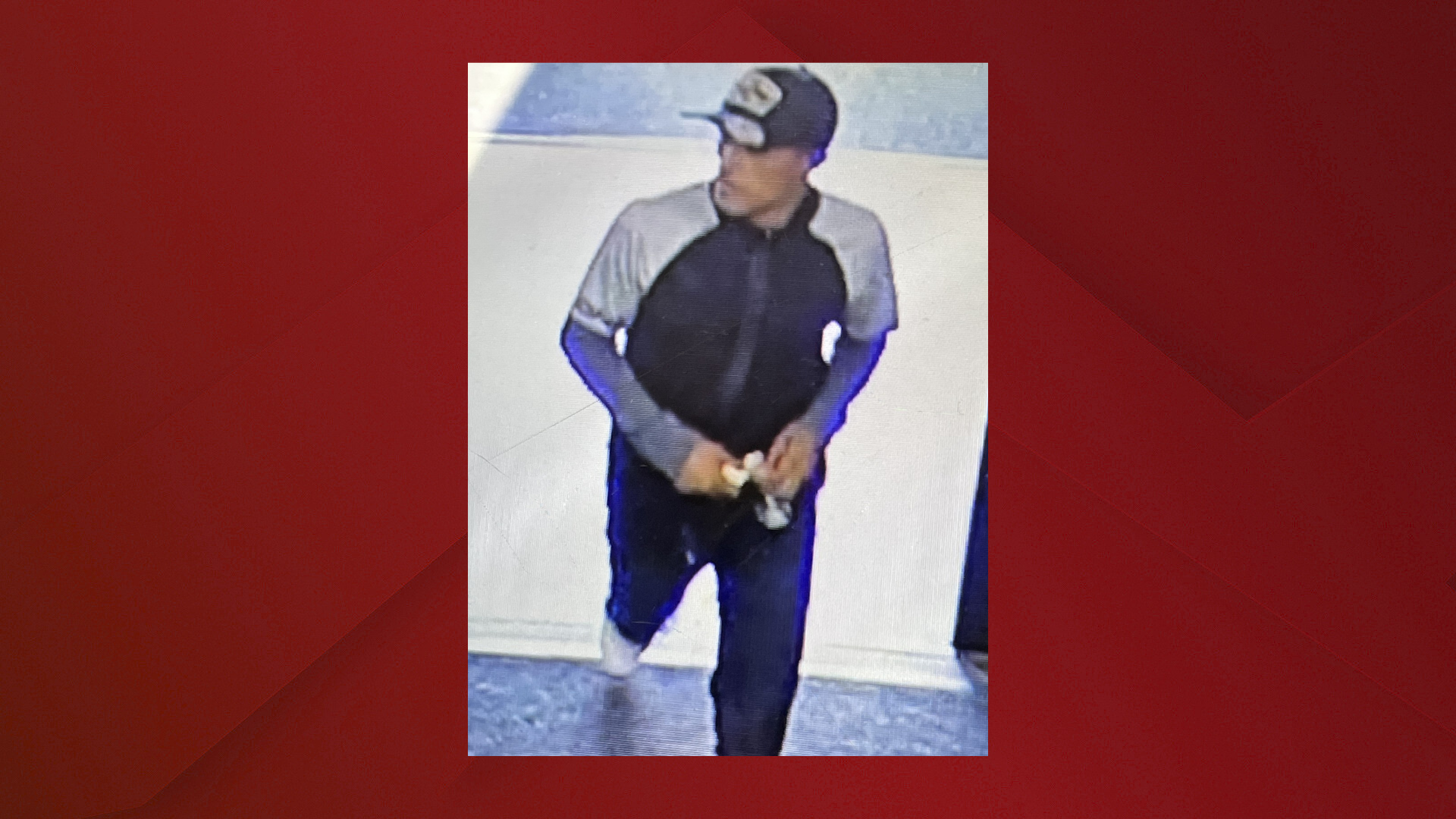 Shoplifting Suspect
