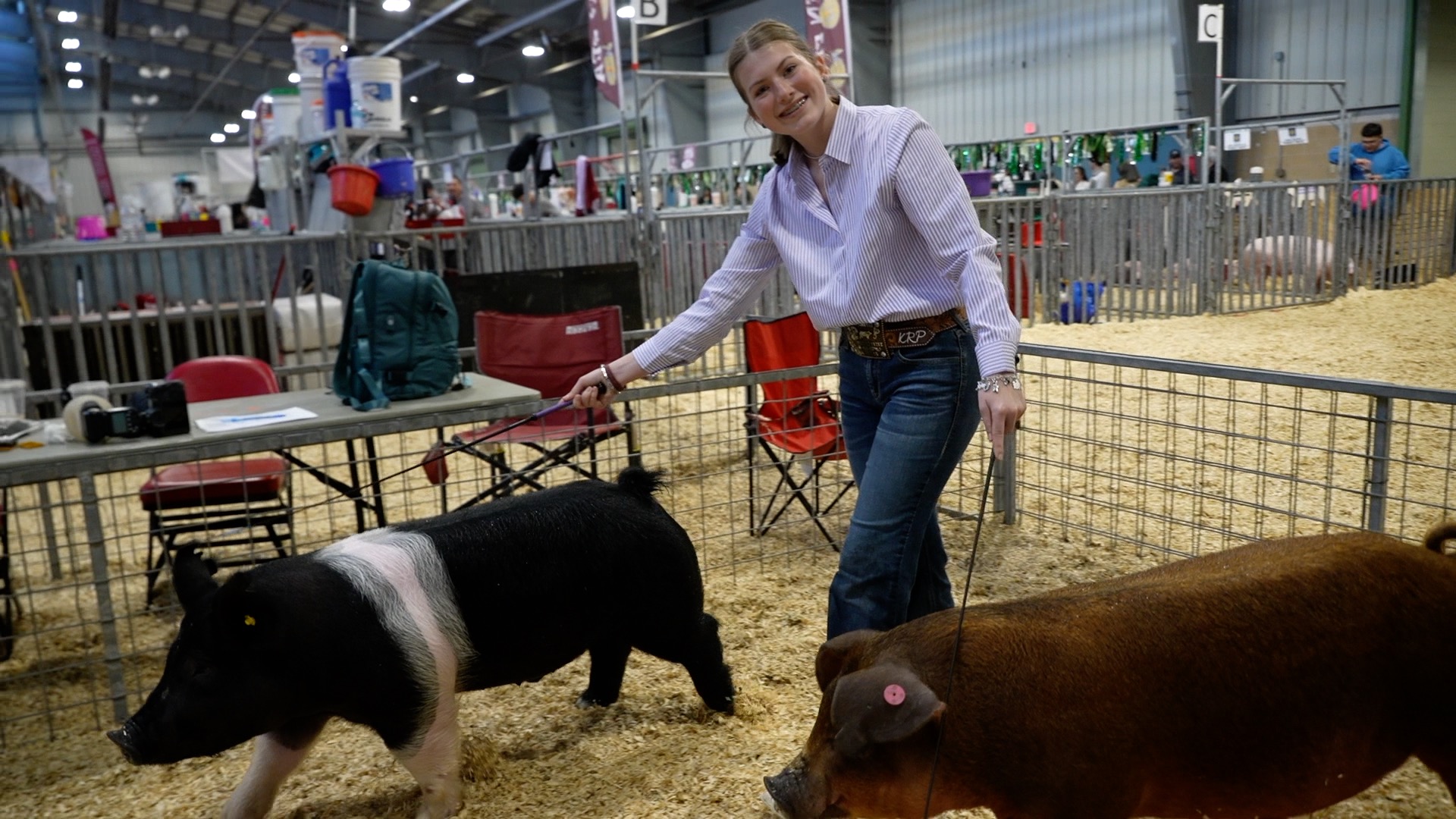 NCJLS SWINE COMPETITION.jpg