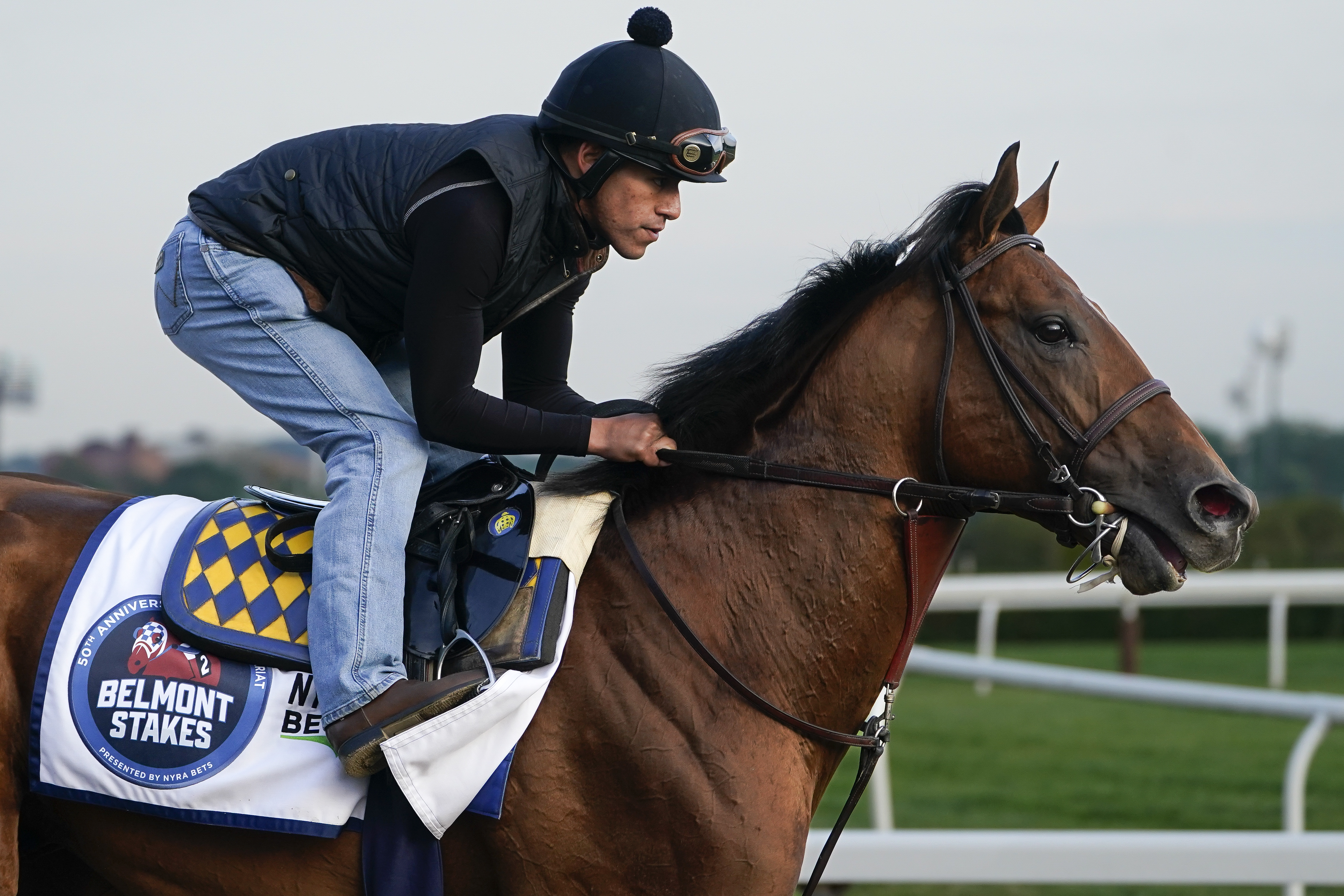 Belmont Stakes Horse Racing