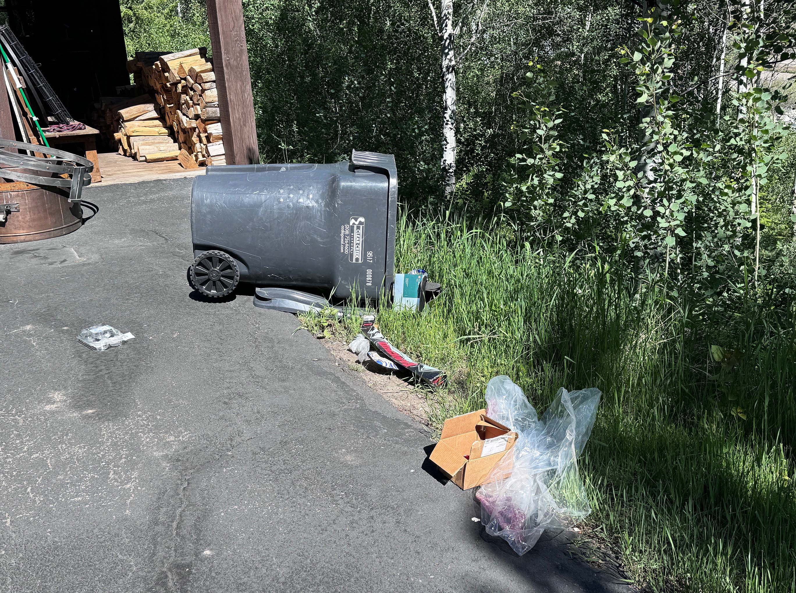 bears-getting-into-residential-garbage-wrv-june-2024_0.jpg