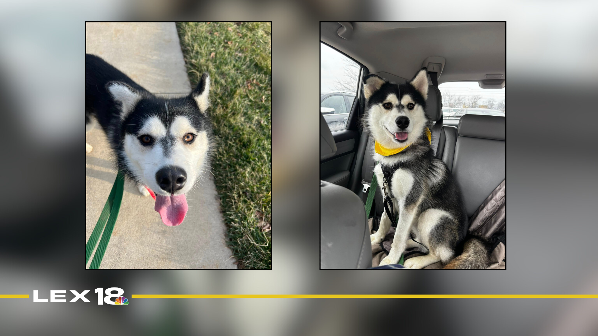 Featured Image Custom Edit (11).png