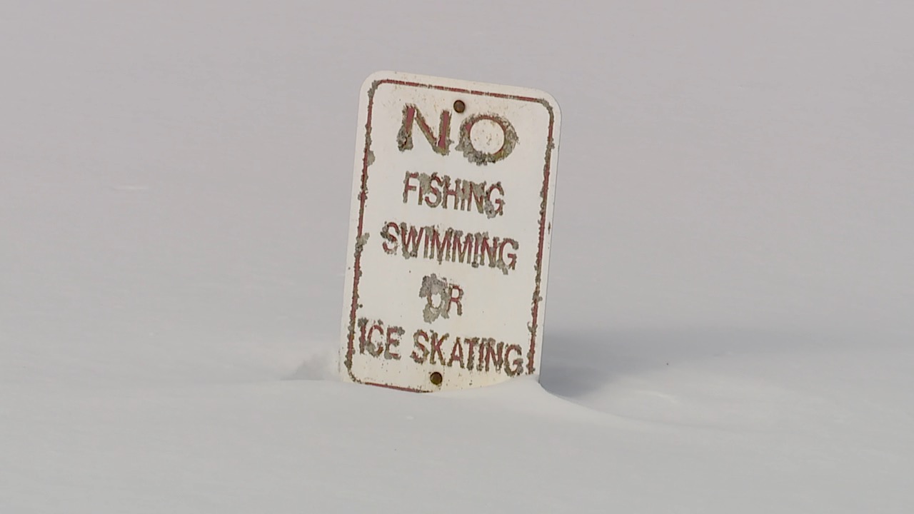 Icy Pond