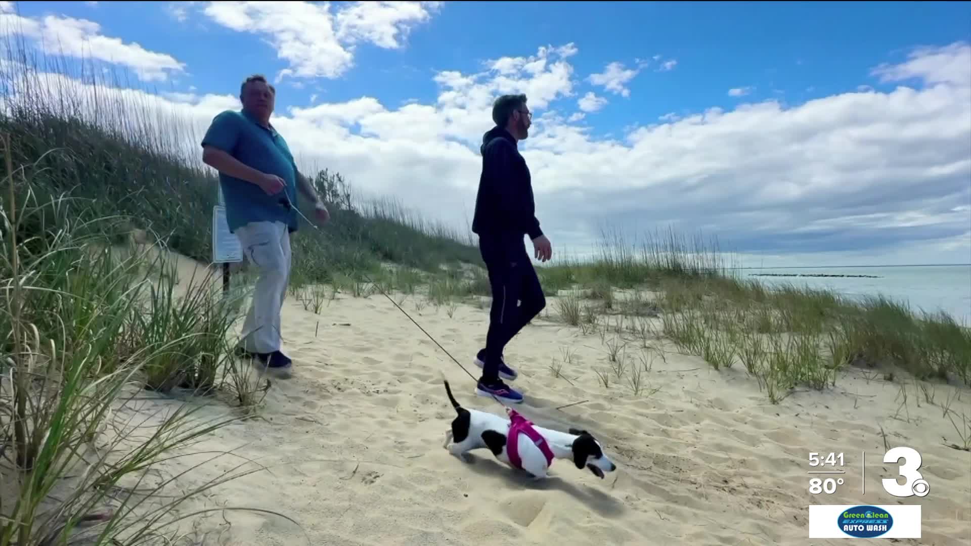 Enjoy coastal living by taking a walk through Norfolk's East Beach
