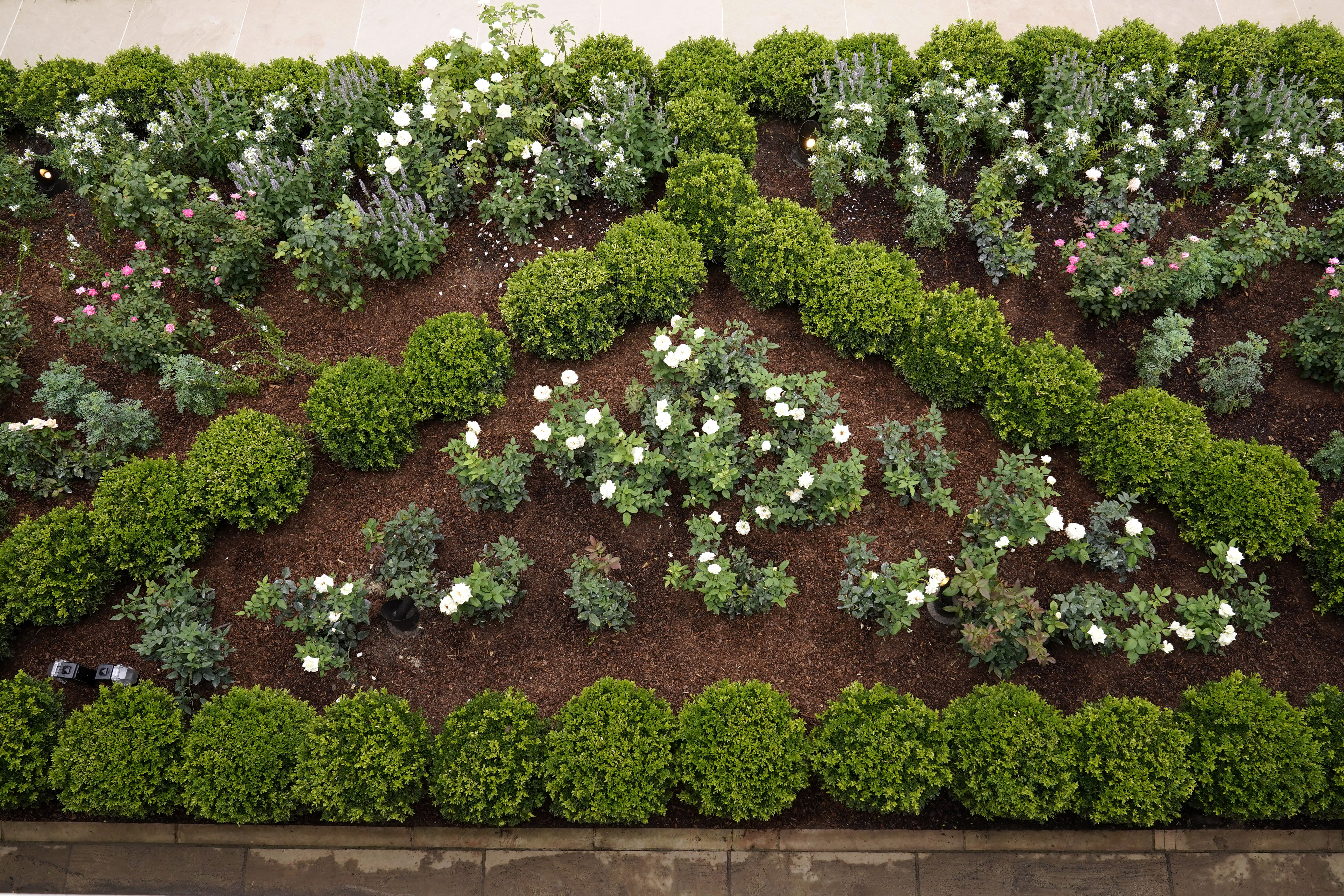 Rose Garden