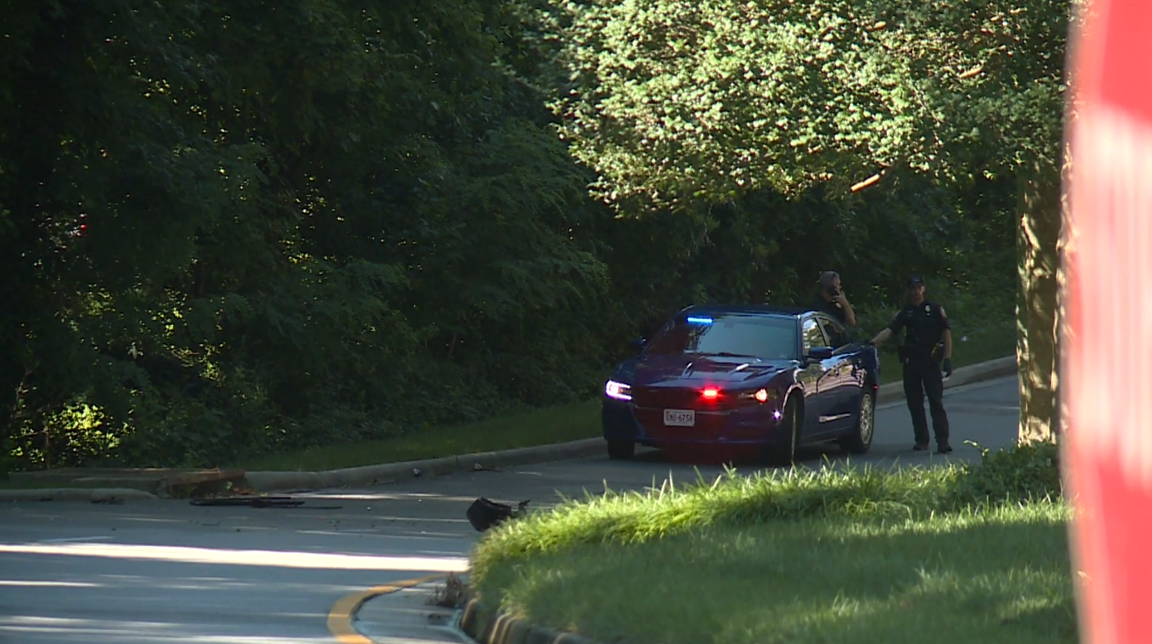 Driver dead after running car off-road, hitting a tree