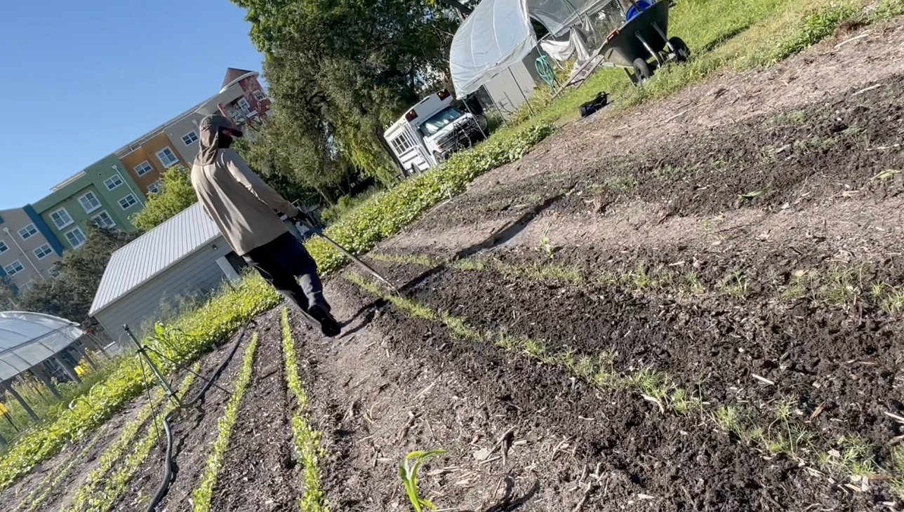 Screen Shot 2023-09-26 at 8.27.34 PM.png